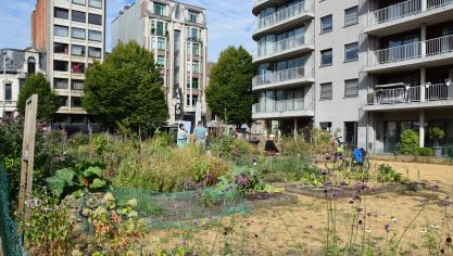 Stadslandbouwprojecten hebben een rol als marketinginstrumenten voor traditionele landbouw, vindt de organisatie van Libramont.