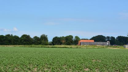 Het aantal landbouwbedrijven blijft dalen, zo blijkt uit cijfers van de federale overheidsdienst economie.