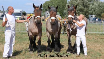 Stal van ‘t Camillenhof, eerste prijs bij de loten van 3. Eig.: Benjamien Kuse, Bazel.