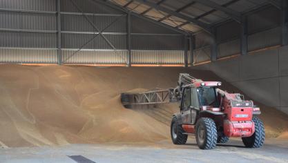 Graanprijzen stijgen weer omdat de droogte de oogst decimeert.
