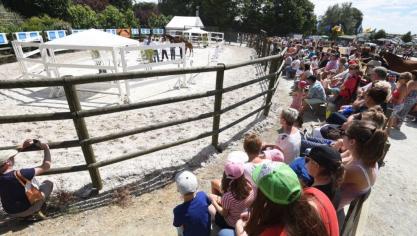 Aandachtige toeschouwers voor de fokkerijwedstrijden sportpaarden in Libramont.