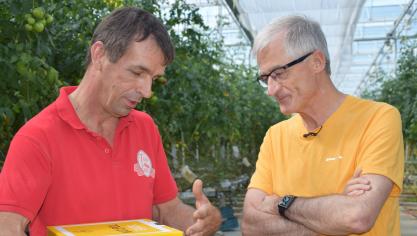 Bourgeois leerde dat de tomaten van Henk niet bio-gecertificeerd zijn omdat hij ze teelt op substraat. Voor de rest voldoet hij aan de voorwaarden van bio.