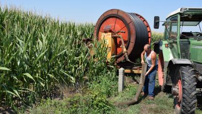 Het is zwoegen en zweten om de beregeningsinstallaties te verplaatsen en aan de gang te houden.