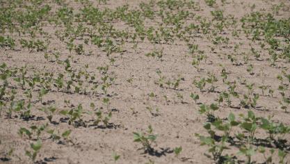 Er zijn verschillende factoren die de premie bepalen, zoals het soort gewas en de grondsoort.