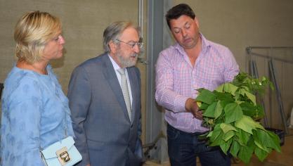 Hilde Vautmans, Herman De Croo en Piet Vandermersch bekijken de schade bij de prinsessenbonen.