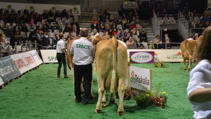 De prijskampen op SPACE zijn van groot belang voor de beurs.