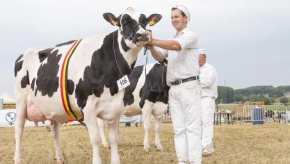 Huvara, kampioene zwartbonte volwassen koeien en algemeen kampioene.
Eig.: Lieven Ryckewaert, Harelbeke.