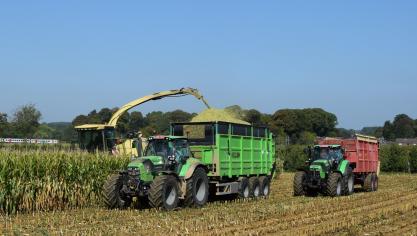 Het is beter iets te vroeg te hakselen dan te laat.