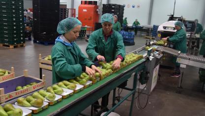 Minister Ducarme wil de voorwaarden voor seizoensarbeid soepeler maken.