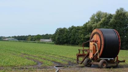 De droogte leidde dit jaar tot grote schade in de landbouw.