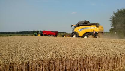 In de tabellen met de opbrengstresultaten wintertarwe 2018 die vorige week gepubliceerd werden zijn enkele fouten geslopen die hierbij gecorrigeerd worden.