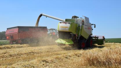 De weersomstandigheden hebben een enorme invloed gehad op de opbrengsten van de wintergranen.