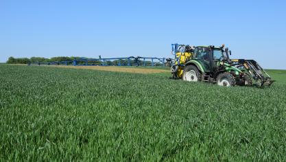 Gevoeligheid aan ziekten is een niet te verwaarlozen parameter bij de rassenkeuze van wintertarwe.