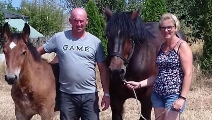 Eric en Marleen De Greeff-Van Kelst met Flicka du Haut des Dames en haar veulen Wannes van ’t Greeveshof van Vlaams Brabant.