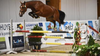 Jiosko Sitte (Ogano Sitte uit Ustina Sitte van Clinton), tweede reservekampioen van Wallonië bij de driejarigen. De belichaming van de Henegouwse paardengenetica.