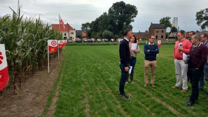 Naast verteerbaarheid staat Limagrain nu ook stil bij de droogtetolerantie van haar maïsrassen