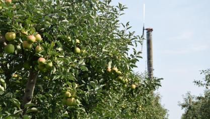 Greenyard is internationaal leidend in de handel en verwerking van groente en fruit.