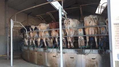 IMG_20180803_080659572