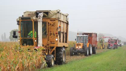 Legendarische Hesston Field Queen 7655 bunkerhakselaar.