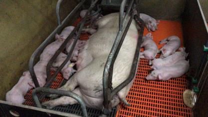 Bij van Asten Group in Horst (NL) kijken ze naar mogelijkheden om de kringloop te sluiten.