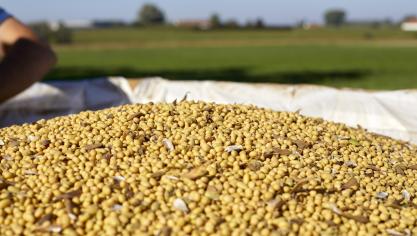 bio soja boer Simon Colembie 129 (2)