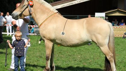 Giljadokka de la Chefna, dagkampioene. Eig.: Valère Brans, Zoutleeuw.