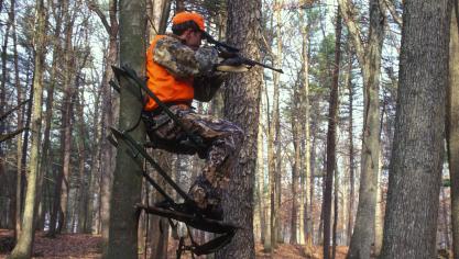 Waalse jagers willen een vergoeding voor hun hulp bij het vinden en afschieten van everzwijnen, en het volgen van een curcus bioveiligheid.