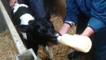 Vlug, vaak, veel, vers en veilig zijn de vijf kernwoorden bij biestmanagement.