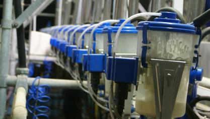 De zuivelprijzen zijn in september