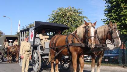 Eddy en Thimothy Vermeersch uit Kachtem met hun Vlaamse Paarden.