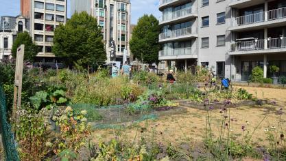 Alternatieve landbouwmodellen zoeken vaak verbinding met de burger.