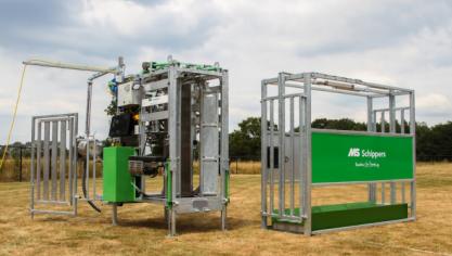 Na zilver pakt MS Schippers nu ook goud met haar klauwverzorgingssysteem.