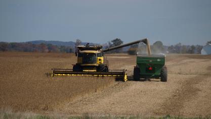 Rabobank denkt dat de sojamarkt langere tijd geraakt zal worden door de handelsoorlog tussen de VS en China.