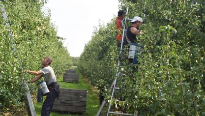 Vanier is een webplatform waarop restauranthouders, winkeliers en grootkeukens lokale producten rechtstreeks van bij de boer kunnen kopen.