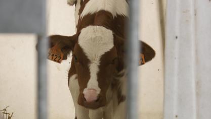 Door af en toe een moment vrij te houden om je handelingen te evalueren, kan je wel degelijk nieuwe gewoontes en adviezen goed inburgeren.