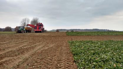 IMG_20181120_135019908_HDR