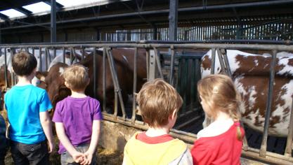 Kinderen mogen meehelpen op de hoeve, maar er zijn enkele risico’s aan verbonden.
