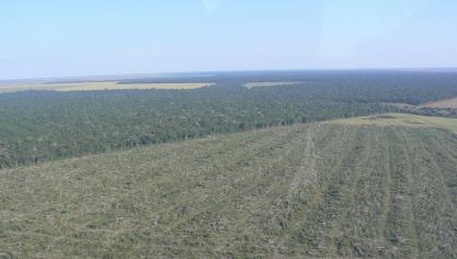 In deelstaat Mato Grosso mag niet meer ontbost worden, maar zijn toch ‘happen’ uit het regenwoud zichtbaar.