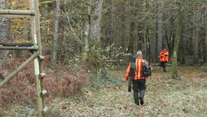 Collin wil dat de jacht op everzwijnen wordt uitgebreid.