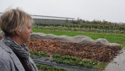 Minister Schauvliege vanochtend bij bezoek aan een biologisch CSA-bedrijf in Lochristi.