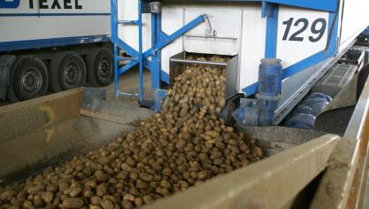 Na een mager aardappeljaar, zou 2019 weer een vet jaar kunnen worden.