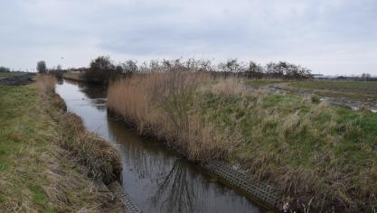 Het percentage MAP-meetpunten voor oppervlaktewater met een overschrijding van de drempelwaarde van 50 mg nitraat per liter bedroeg in winterjaar 2017-2018 28
%.