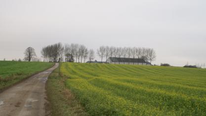 Landbouwgrond moet beschermd worden, vindt een groep landbouworganisaties en academici.