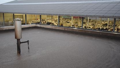 Een kleinschalige biologie is haalbaar voor een individueel melkveebedrijf, en kent het voordeel van de betrouwbaarheid.