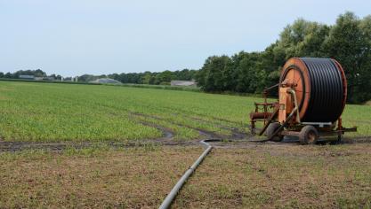 In de akkerbouw hangen inkomens dit jaar sterk af van de mate van beregening.