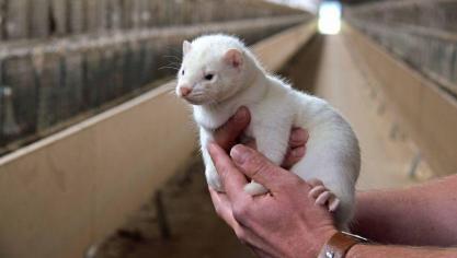 266e98b67706ec24be8494ae5da2b404