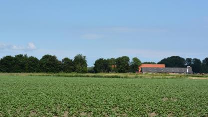 Buren hebben door een wijziging in het omgevingsdecreet minder mogelijkheden om in beroep te gaan.