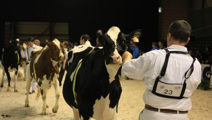 8368080343_11870858ed_o