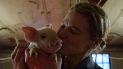 De dag na haar verkiezing stond Mieke Verniest opnieuw tussen de biggen.
