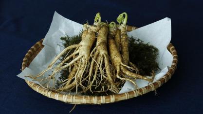 ginseng-3404958_960_720